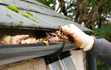 gutter cleaning Lower Harpton, Herefordshire